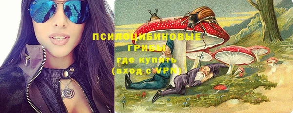 ешки Медногорск