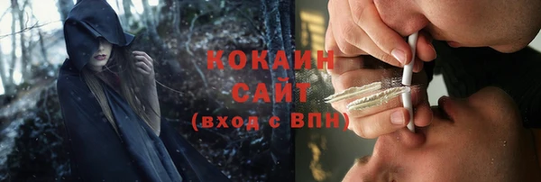 ешки Медногорск