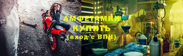 молекула духа Медвежьегорск