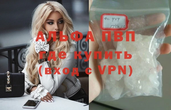 молекула духа Медвежьегорск