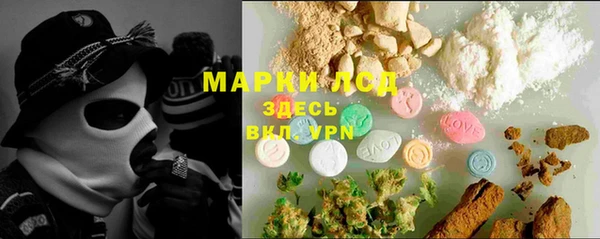 молекула духа Медвежьегорск
