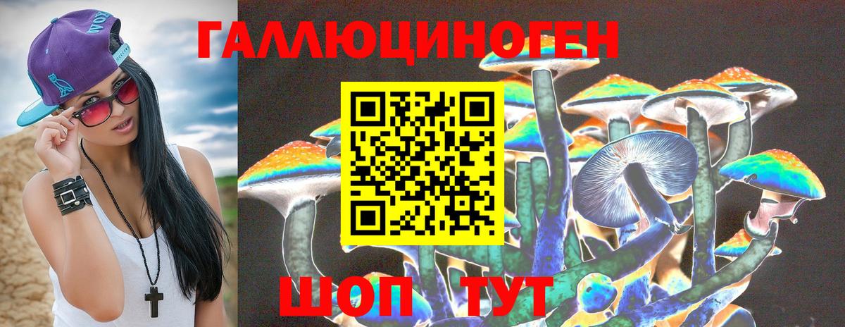 Медногорск  Галлюциногенные грибы мухоморы  Вход с VPN  Псилоцибиновые грибы мицелий 