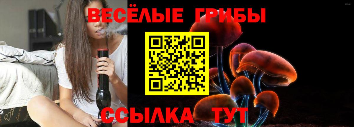 Псилоцибиновые грибы мухоморы Медногорск